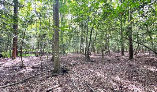 Photo #24 of SOLD property in Off Reynolds Drive, Carrollton, VA 5.1 acres