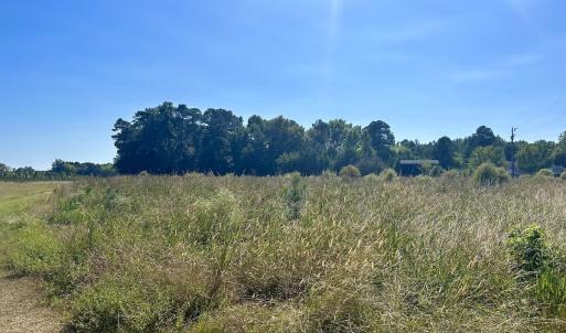 Photo #12 of SOLD property in Off Old Coats Rd, Lillington, NC 9.0 acres