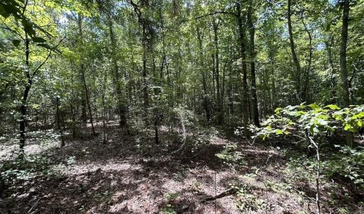 Photo #18 of SOLD property in Off Old Coats Rd, Lillington, NC 9.0 acres