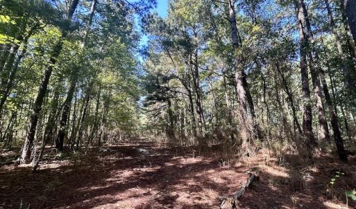 Photo #21 of SOLD property in Off Old Coats Rd, Lillington, NC 9.0 acres