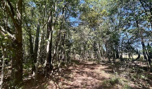Photo #22 of SOLD property in Off Old Coats Rd, Lillington, NC 9.0 acres