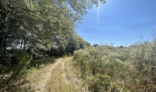 Photo #23 of SOLD property in Off Old Coats Rd, Lillington, NC 9.0 acres
