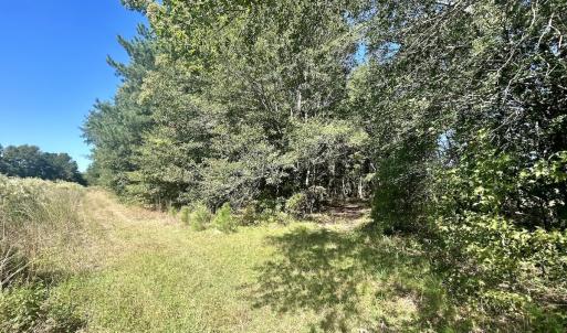 Photo #24 of SOLD property in Off Old Coats Rd, Lillington, NC 9.0 acres