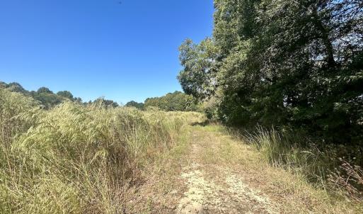 Photo #25 of SOLD property in Off Old Coats Rd, Lillington, NC 9.0 acres