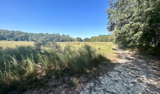 Photo #26 of SOLD property in Off Old Coats Rd, Lillington, NC 9.0 acres
