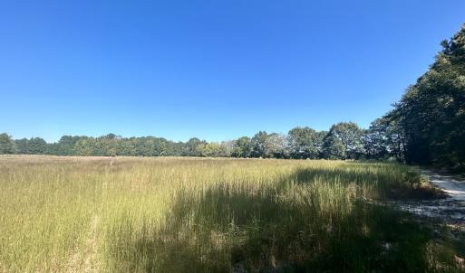Photo #27 of SOLD property in Off Old Coats Rd, Lillington, NC 9.0 acres