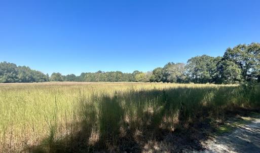 Photo #28 of SOLD property in Off Old Coats Rd, Lillington, NC 9.0 acres
