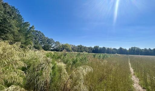 Photo #29 of SOLD property in Off Old Coats Rd, Lillington, NC 9.0 acres
