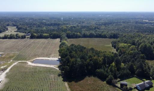 Photo #4 of SOLD property in Off Old Coats Rd, Lillington, NC 9.0 acres