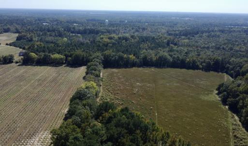 Photo #5 of SOLD property in Off Old Coats Rd, Lillington, NC 9.0 acres