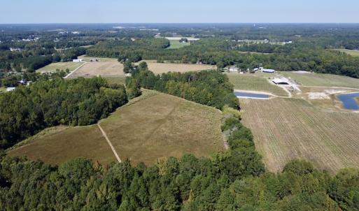 Photo #8 of SOLD property in Off Old Coats Rd, Lillington, NC 9.0 acres
