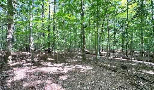 Photo #11 of Off Doggett Lane, Carrollton, VA 17.4 acres