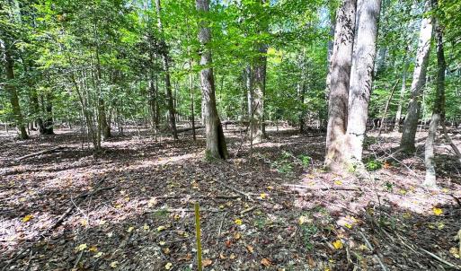 Photo #17 of Off Doggett Lane, Carrollton, VA 17.4 acres