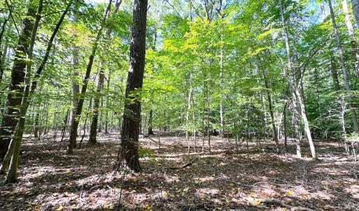 Photo #18 of Off Doggett Lane, Carrollton, VA 17.4 acres
