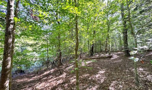 Photo #19 of Off Doggett Lane, Carrollton, VA 17.4 acres