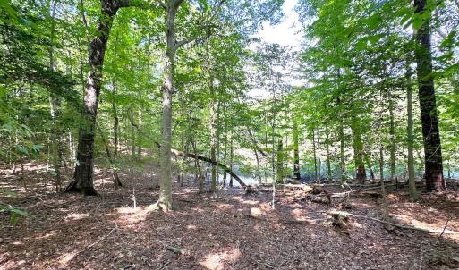 Photo #20 of Off Doggett Lane, Carrollton, VA 17.4 acres