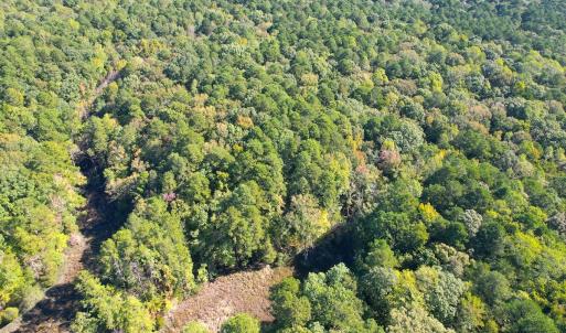 Photo #22 of Off Doggett Lane, Carrollton, VA 17.4 acres