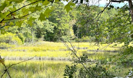 Photo #23 of Off Doggett Lane, Carrollton, VA 17.4 acres