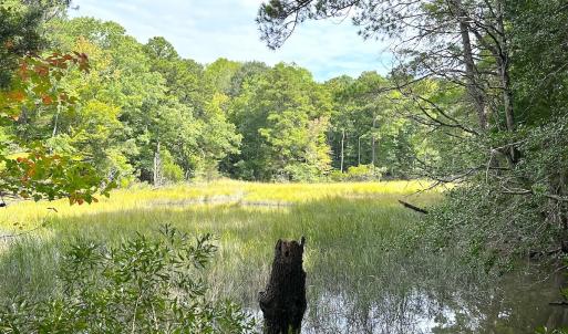 Photo #24 of Off Doggett Lane, Carrollton, VA 17.4 acres