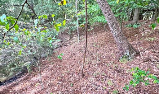 Photo #26 of Off Doggett Lane, Carrollton, VA 17.4 acres
