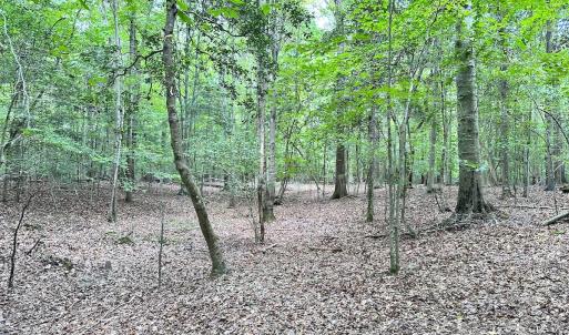 Photo #30 of Off Doggett Lane, Carrollton, VA 17.4 acres
