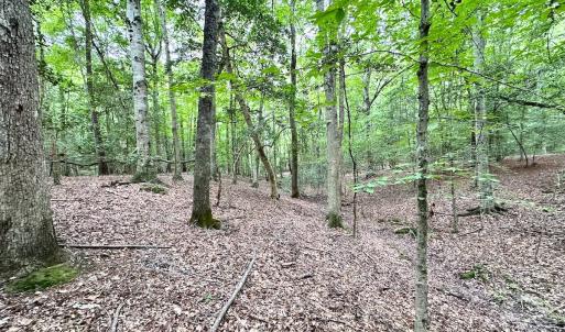 Photo #32 of Off Doggett Lane, Carrollton, VA 17.4 acres