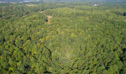 Photo #4 of Off Doggett Lane, Carrollton, VA 17.4 acres
