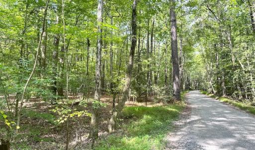 Photo #7 of Off Doggett Lane, Carrollton, VA 17.4 acres