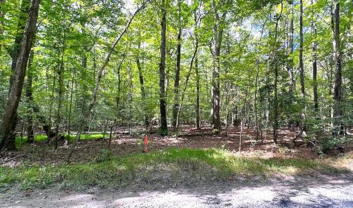 Photo #8 of Off Doggett Lane, Carrollton, VA 17.4 acres
