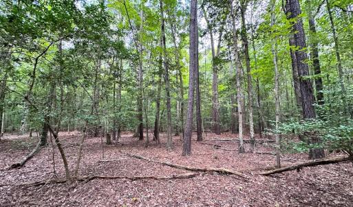 Photo #10 of Off Doggett Lane, Carrollton, VA 21.0 acres