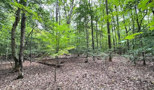 Photo #11 of Off Doggett Lane, Carrollton, VA 21.0 acres