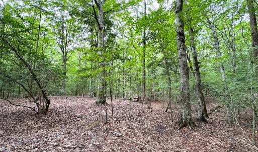 Photo #13 of Off Doggett Lane, Carrollton, VA 21.0 acres