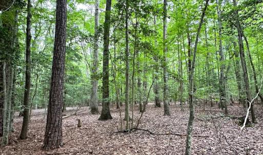 Photo #14 of Off Doggett Lane, Carrollton, VA 21.0 acres