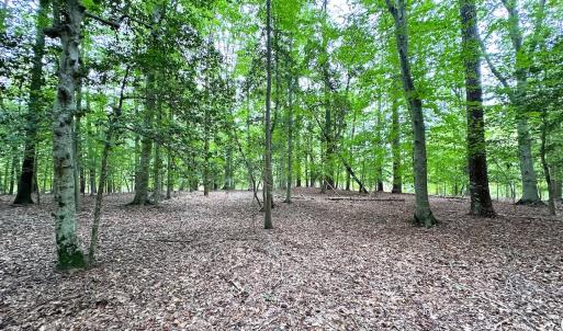 Photo #15 of Off Doggett Lane, Carrollton, VA 21.0 acres