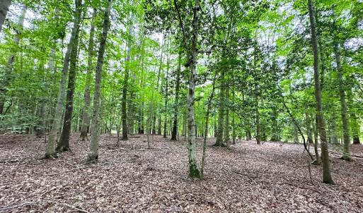 Photo #16 of Off Doggett Lane, Carrollton, VA 21.0 acres
