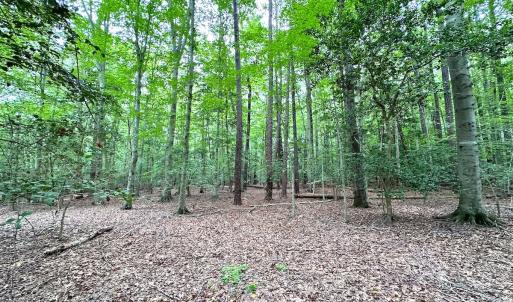Photo #17 of Off Doggett Lane, Carrollton, VA 21.0 acres