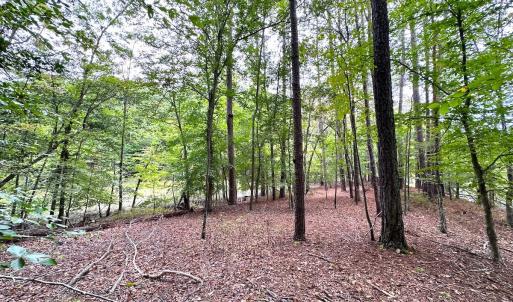 Photo #18 of Off Doggett Lane, Carrollton, VA 21.0 acres