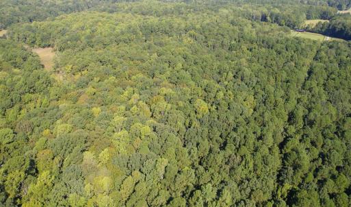 Photo #1 of Off Doggett Lane, Carrollton, VA 21.0 acres