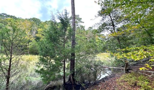 Photo #19 of Off Doggett Lane, Carrollton, VA 21.0 acres