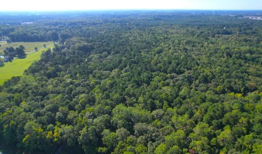 Photo #2 of Off Doggett Lane, Carrollton, VA 21.0 acres