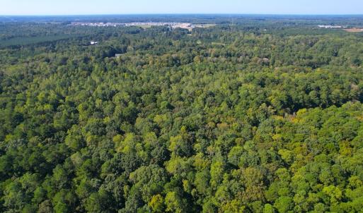 Photo #3 of Off Doggett Lane, Carrollton, VA 21.0 acres