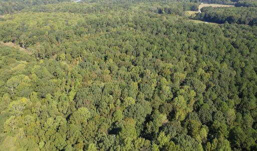 Photo #4 of Off Doggett Lane, Carrollton, VA 21.0 acres