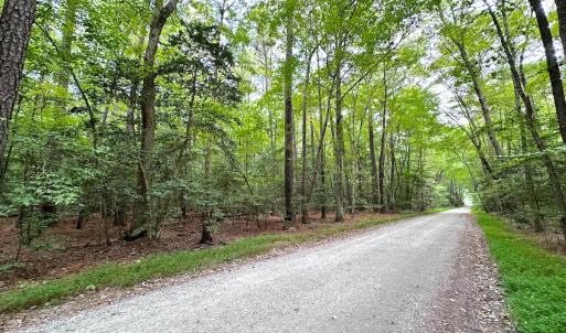 Photo #5 of Off Doggett Lane, Carrollton, VA 21.0 acres