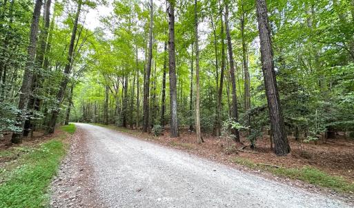 Photo #6 of Off Doggett Lane, Carrollton, VA 21.0 acres