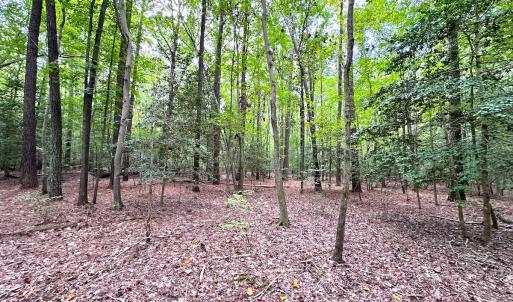 Photo #7 of Off Doggett Lane, Carrollton, VA 21.0 acres