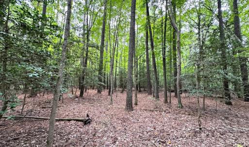 Photo #8 of Off Doggett Lane, Carrollton, VA 21.0 acres