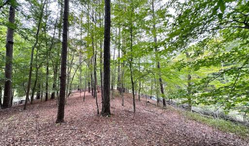 Photo #20 of Off Doggett Lane, Carrollton, VA 21.0 acres