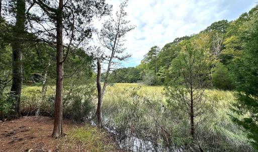 Photo #21 of Off Doggett Lane, Carrollton, VA 21.0 acres