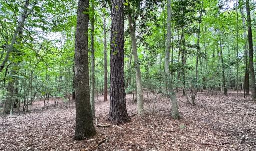 Photo #22 of Off Doggett Lane, Carrollton, VA 21.0 acres