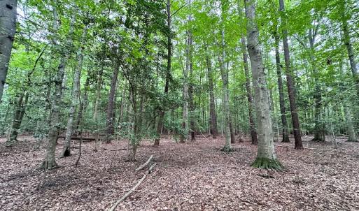Photo #23 of Off Doggett Lane, Carrollton, VA 21.0 acres